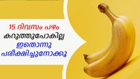 പതിനഞ്ച് ദിവസം വരെ പഴം ഫ്രഷ് ആയിരിക്കും, തൊലി കറുക്കില്ല; ഇതൊന്ന് പരീക്ഷിച്ചു നോക്കൂ