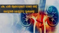 World Kidney Day 2024: വൃക്കത്തകരാറുകള്‍ കൂടുതലാവുന്നു: ഇഷ്ട ഭക്ഷണം വില്ലനാവുമ്പോള്‍