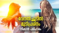 ഒരുപാട് മുടിപ്രശ്‌നങ്ങള്‍ക്ക് ഒറ്റ പരിഹാരം, വേനലില്‍ ഇനി മുടി വാടില്ല; പ്രകൃതിദത്ത മാസ്‌ക്‌
