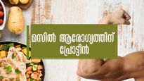 മസില്‍ പെരുപ്പിക്കാന്‍ മുട്ടയേക്കാള്‍ മികച്ച പ്രോട്ടീന്‍ ഭക്ഷണങ്ങള്‍