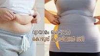 സ്ത്രീകളെ അലട്ടുന്ന കൊഴുപ്പ് അടിയല്‍; വ്യായാമമില്ലാതെ ഇടുപ്പിലെ കൊഴുപ്പ് കുറയ്ക്കാന്‍ 6 കാര്യം