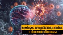 Amoebic Meningitis: തുടക്കലക്ഷണം പനിയും തലവേദനയും: തലച്ചോറിന്റെ പ്രവര്‍ത്തനം നിലക്കും