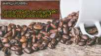 ശാസ്ത്രജ്ഞരുടെ പുതിയ കണ്ടുപിടിത്തം: കാപ്പിച്ചണ്ടി ഇനി വെറുതെ കളയേണ്ടി വരില്ല