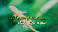 പല്ലി ദേഹത്ത് വീണാല്‍ ദോഷമല്ല, ചിലപ്പോള്‍ ഭാഗ്യം തെളിഞ്ഞതും ആകാം