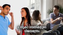 വഴക്കിലൂടെ വളര്‍ത്തിയെടുക്കും സ്‌നേഹം; സന്തുഷ്ടരായ പങ്കാളികളുടെ ദാമ്പത്യ വിജയരഹസ്യം