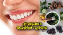 മഞ്ഞപ്പല്ലിന് വിട നല്‍കാം, തൂവെള്ള പല്ല് സ്വന്തമാക്കാം; ആയുര്‍വേദത്തിലുണ്ട് പരിഹാര വഴികള്‍
