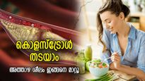 ആരോഗ്യം അപകടത്തിലാക്കുന്ന ചീത്ത കൊളസ്‌ട്രോള്‍; പ്രതിരോധമൊരുക്കാം അത്താഴശീലത്തിലൂടെ