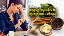 മാനസിക സമ്മർദ്ദത്തിന് തടയിടാൻ തുളസി മുതൽ ഉലുവ വരെ, ആയുര്‍വേദം പറയും വഴി