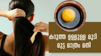 ഇനി ഷാമ്പൂ വാങ്ങേണ്ട: മുടിയുടെ ആരോഗ്യം കാക്കും മുട്ട കൊണ്ടുള്ള ഹോംമേഡ് ഷാമ്പൂ