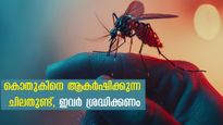 ചിലരെ തിരഞ്ഞ് പിടിച്ച് കൊതുക് കടിക്കുന്നോ? നിങ്ങള്‍ ഈ രക്തഗ്രൂപ്പെങ്കില്‍ കരുതിയിരിക്കാം