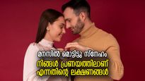 നിങ്ങള്‍ക്ക് അവനോട്/ അവളോട് ഉള്ളത് പ്രണയം; ഇഷ്ടം പ്രണയത്തിലേക്ക് മാറുന്ന ലക്ഷണങ്ങള്‍