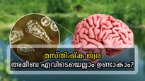 കുളത്തില്‍ മാത്രമല്ല, മസ്തിഷ്‌ക ജ്വരം ഉണ്ടാക്കുന്ന അമീബ ഇവിടങ്ങളിലും; മരണസാധ്യത 95 ശതമാനം വരെ