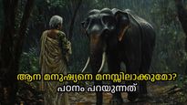 മുത്തശ്ശിക്കും പേരക്കുട്ടിക്കും കാവല്‍ നിന്ന ആന, മനുഷ്യനെ മനസ്സിലാക്കാന്‍ ആനയ്ക്ക് കഴിയുമോ?