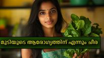 മുടിയുടെ ആരോഗ്യം ചീരയില്‍ ഭദ്രം, എന്നും ചീര കഴിച്ചാലുള്ള ഗുണങ്ങള്‍ ഇവയാണ്‌