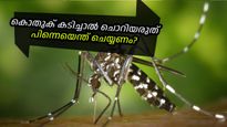 കൊതുകുകടിയേക്കാള്‍ ദോഷം, കൊതുക് കടിച്ചാല്‍ ഇക്കാര്യം ഒരിക്കലും ചെയ്യരുത്