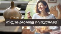 വെറും വയറ്റില്‍ രണ്ടല്ലി വെളുത്തുള്ളി എന്നും കഴിച്ച് നോക്കൂ, അത്ഭുതപ്പെടുത്തുന്ന മാറ്റങ്ങള്‍ അനുഭവിച്ചറിയാം