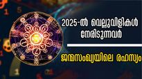 വരും വര്‍ഷം നിയോഗം ഇതെല്ലാമാണ്, നിങ്ങളുടെ അവസരങ്ങളും വെല്ലുവിളികളും നേരത്തെയറിയാം