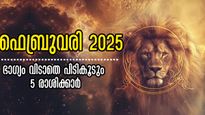 ധനം, കരിയര്‍, ദാമ്പത്യം, വിവാഹം: ഫെബ്രുവരിയില്‍ രാജാവായി വാഴുന്നവര്‍, നിങ്ങളുടെ രാശി ഏത്?