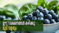 ബയോട്ടിന്‍ ഉല്‍പ്പന്നങ്ങള്‍ തേടിയലയേണ്ട, ഇവ കഴിച്ചാല്‍ മുടിക്ക് ആവശ്യത്തിന് ബയോട്ടിന്‍ ലഭിക്കും