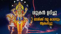 മീനത്തില്‍ ശുക്രനുദിച്ചു: ഇനിയങ്ങോട്ട് വെച്ചടി വെച്ചടി കയറ്റം, കരിയറില്‍ വിജയപാത ചവിട്ടിക്കയറും