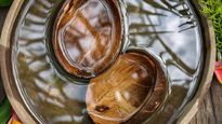 Natural Cooling Methods No Ac No Problem Cool Your Room With Coconut Shells And Water