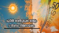 ഉഷ്ണതരംഗ ഭീതിയില്‍ രാജ്യം: അതീവജാഗ്രതയോടെ നീങ്ങേണ്ട 5 ദിനങ്ങള്‍, ശ്രദ്ധിക്കേണ്ടത് ഇതെല്ലാം