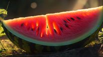 How To Identify Watermelon Adulteration Simple Methods For Safe Consumption