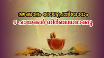പെരുമഴയാരംഭം ഒപ്പം രോഗങ്ങളും: പ്രതിരോധിക്കാന്‍ 5 ചായകള്‍ ശീലമാക്കാം