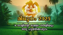 മിഥുനം 2025: വരുന്ന 31 ദിനങ്ങള്‍ കിറുകൃത്യം, ജൂണ്‍ 15 മുതല്‍ ജൂലൈ 16 വരെ തലയിലെഴുത്തില്‍ ഭാഗ്യം മാത്രം