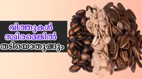 കുടലിന്റെ ആരോഗ്യം ഉറപ്പാക്കും, തടി കുറയ്ക്കും, അഴകളവുകള്‍ തിരികെ വരും: വിത്തുകള്‍ ശീലമാക്കാം