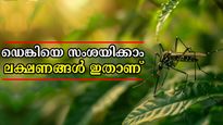 പനിയും ശ്വാസതടസ്സവും വിട്ടുമാറുന്നില്ലേ, ഡെങ്കി സംശയിക്കാം: പക്ഷേ ഉറപ്പിക്കാനാവില്ല, ലക്ഷണങ്ങളറിയാം