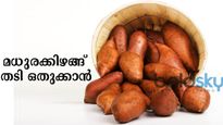 ഒരേ ഒരു മാസം ട്രൈ ചെയ്യൂ, മധുരക്കിഴങ്ങില്‍ തിരിച്ച് പിടിക്കാം അഴകളവുകള്‍