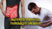 കുടലിന്റെ ആരോഗ്യം മോശമാണോ? എന്നാല്‍ സ്ഥിരമാക്കേണ്ട ശീലങ്ങള്‍ ഇതാണ്