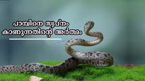 സ്വപ്‌നം കാണുന്നത് പാമ്പിനെയാണോ? ഫലങ്ങള്‍ ഇതെല്ലാം