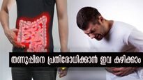 തണുപ്പ് കൂടിയോ? കുടലിന്റെ ആരോഗ്യത്തിനും മികച്ച ദഹനത്തിനും ഈ ഭക്ഷണങ്ങള്‍ ധാരാളം