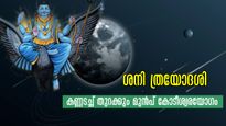 ശനി ത്രയോദശി: ഫെബ്രുവരി 14-ന് മീനത്തിലെ ശനി നല്‍കുന്ന മഹാഭാഗ്യം, 4 രാശിക്കാര്‍ക്ക് കൈയ്യൊഴിയാതെ നേട്ടങ്ങള്‍