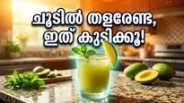 കത്തുന്ന വെയിലത്ത് തളരാതിരിക്കാൻ ഈ നാടൻ പാനീയങ്ങൾ കൈയിലുണ്ടോ? വേനൽച്ചൂടിനെ തോൽപ്പിക്കാം!
