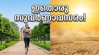 ഡൽഹിയിൽ മഴയുടെ ആശ്വാസം; ഉഷ്ണതരംഗം തിരിച്ചെത്തുന്നതിന് മുൻപ് പുറത്തിറങ്ങാൻ പറ്റിയ സമയം!