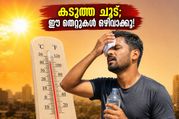 Heatwave Precautions For Men Summer Health Tips 2026 011