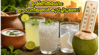 How To Beat Heatwave With Traditional Drinks And Health Tips 2026 011