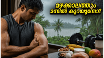 മഴക്കാലത്ത് മസിലുകൾ തളരുന്നുണ്ടോ? കരുത്തോടെ ഇരിക്കാൻ പുരുഷന്മാർ ഈ ഭക്ഷണക്രമം പരീക്ഷിക്കൂ!
