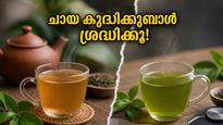 Weight Loss Tea Myths Facts Metabolism Boosting Drinks 2026 011