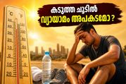 Workout Tips During Heatwave 2026 Avoid Health Risks And Heatstroke 011