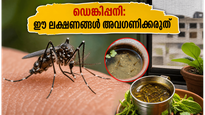 ഡൽഹിയിൽ ഡെങ്കിപ്പനി പടരുന്നു; ഈ ലക്ഷണങ്ങൾ അവഗണിച്ചാൽ അപകടം, വീട്ടിൽ ചെയ്യേണ്ട മുൻകരുതലുകൾ ഇതാ
