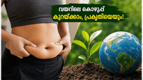 വയറിലെ കൊഴുപ്പ് കുറയ്ക്കാൻ ഈ 10 മിനിറ്റ് ശീലം മതി; ഒപ്പം പ്രകൃതിയെയും സംരക്ഷിക്കാം!