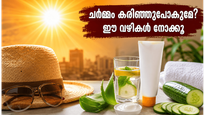 ഉഷ്ണതരംഗം വരുന്നു, ചർമ്മം കരിഞ്ഞുപോകാതിരിക്കാൻ ഈ മുൻകരുതലുകൾ മറക്കരുത്; ഒപ്പം വീട്ടുവൈദ്യങ്ങളും പരീക്ഷിക്കൂ!