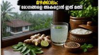 മഴക്കാലം തുടങ്ങി! രോഗങ്ങളെ പടിക്ക് പുറത്താക്കാൻ ഈ നാടൻ പാനീയങ്ങൾ പരീക്ഷിക്കൂ