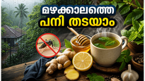 മഴക്കാലത്തെ പനിയും അസുഖങ്ങളും: വീട്ടിൽ തന്നെ പരീക്ഷിക്കാവുന്ന ലളിതമായ പ്രതിരോധ മാർഗ്ഗങ്ങൾ
