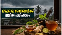 ഓറഞ്ച് അലർട്ട്: മഴക്കാല രോഗങ്ങളെ തോൽപ്പിക്കാൻ അടുക്കളയിലെ ഈ അത്ഭുത മരുന്നുകൾ പരീക്ഷിക്കൂ!
