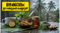 മഴക്കാലം എത്തി, പനിയും ജലദോഷവും കൂടെ വരുന്നുണ്ടോ? ഈ വീട്ടുവൈദ്യങ്ങൾ അറിഞ്ഞുവെക്കൂ!